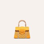 Goyard Saigon Structured Mini Bag Yellow - Image 2
